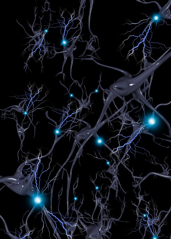 Brain Cells Neurons by Bruce Rolff